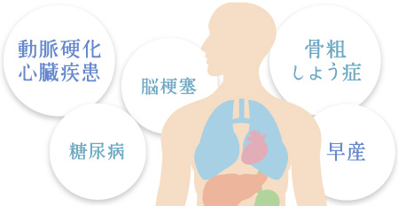 動脈硬化 心臓疾患 糖尿病 脳梗塞 骨粗しょう症 早産